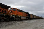 BNSF 6401 Roster shot